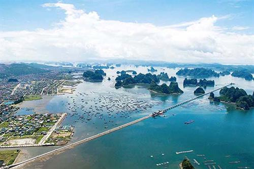 附图。图自互联网 附图。图自互联网