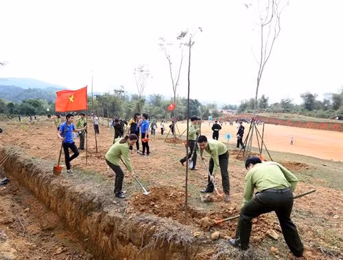 推进植树和造林工作 努力保护环境 ảnh 1