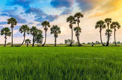 资料图：安江省旅游景点。（图片来源：互联网）