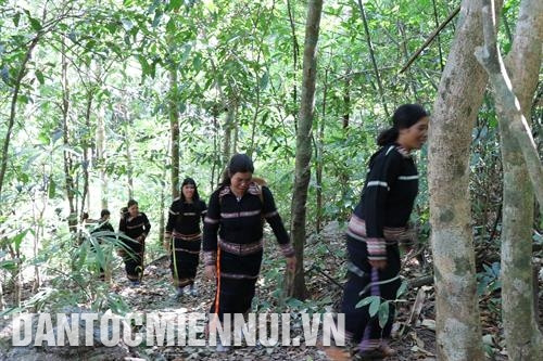 嘉莱省拉格莱县拉波赫乡奥格郎村民取水回来举行森林祭祀仪式。记者 红叠 摄 嘉莱省拉格莱县拉波赫乡奥格郎村民取水回来举行森林祭祀仪式。记者 红叠 摄