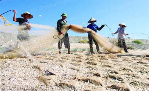 南定省渔民。（图片来源：越通社）