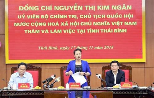 越南国会主席阮氏金银17日同太平省主要领导代表举行工作会谈。图自越通社