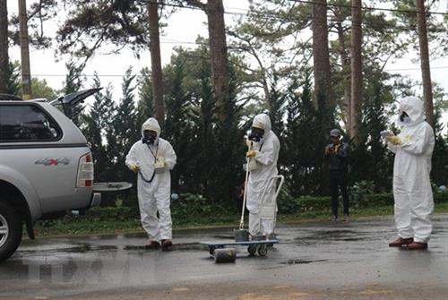 资料图。越通社记者 阮勇 摄 资料图。越通社记者 阮勇 摄