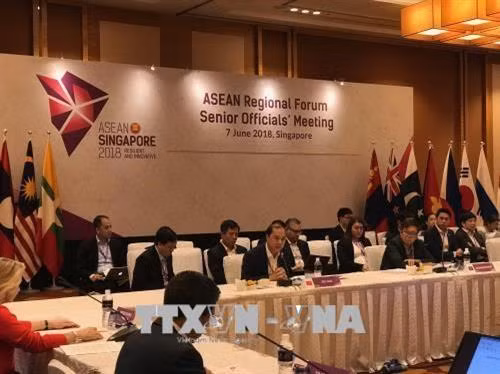 越南代表团参加在新加坡举行的系列会议。(图片来源:越通社) 越南代表团参加在新加坡举行的系列会议。(图片来源:越通社)