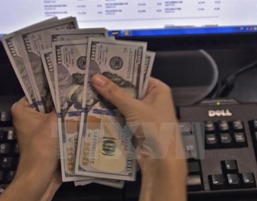 附图。（图片来源：越通社）