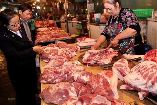 附图。图自越通社