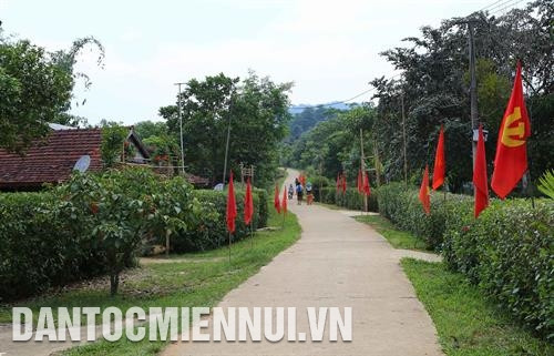 尽管经济生活仍面临困难，但阿雷县少数民族同胞已为基础设施减少娥、保护环境等工作贡献财务和人力。记者 胡求 摄