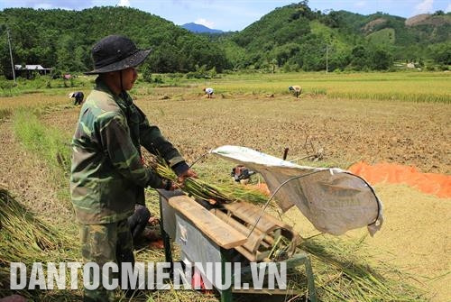 基于阿雷县居民已经改变旧生产方式，展开新经济模式，该县少数民族同胞生活大有改善。记者 胡求 摄 阿雷县主张到2020年牛群数量达1万头，为打造“阿雷牛肉”品牌打下基础。记者 胡求 摄 作为桃金娘种植面积巨大的地方，该县桃金娘果实倍期望将为该县居民可持续减贫做出贡献。记者 胡求 摄