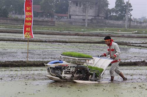 2018年戊戌春节下田节。（图片来源：越通社）
