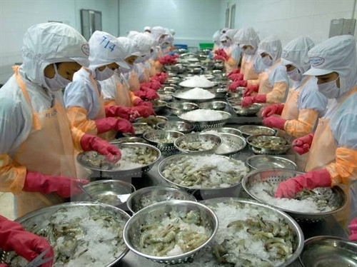 附图（图片来源：越通社）