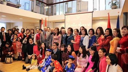 越南驻荷兰大使馆举行的新年欢庆活动。(图片来源:因特网) 越南驻荷兰大使馆举行的新年欢庆活动。(图片来源:因特网)