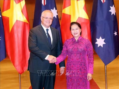越南国会主席阮氏金银会见澳大利亚总理斯科特•莫里森。图自越通社