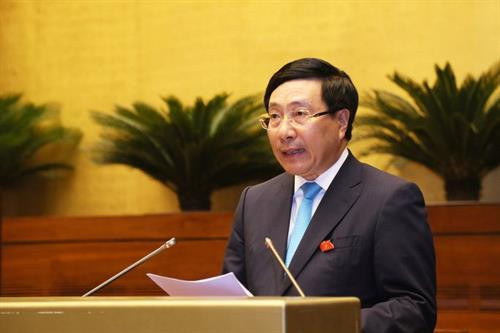 政府副总理兼外交部长范平明受政府总理委托作关于2019年国家对外交往工作报告。图自越通社