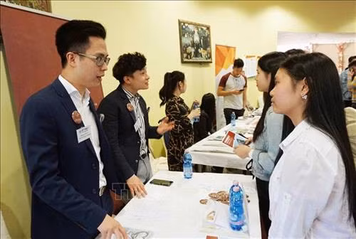 各所大学代表向大学生提供咨询服务 图自越通社