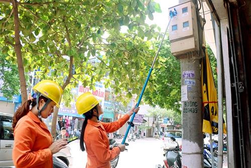 胡志明市电力总公司女性工作人员检查电线杆。图自因特网