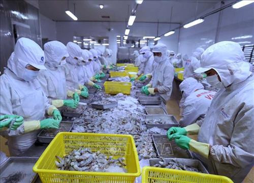 附图。图自越通社