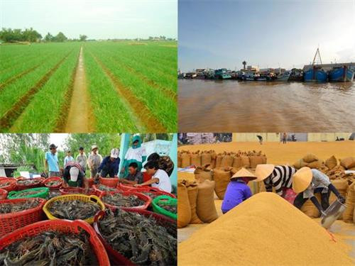 附图。(图片来源:因特网) 附图。(图片来源:因特网)