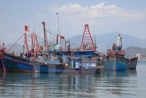 2017年茶荣省水产总产量达19.9万吨。（图片来源：越通社）