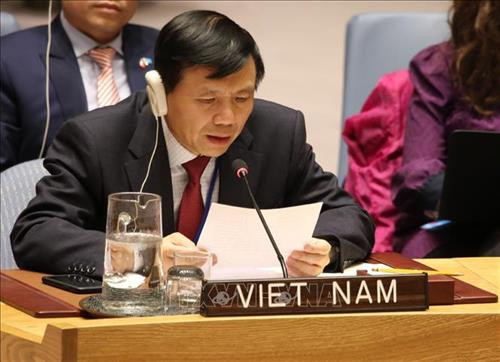 越南驻联合国使团团长邓廷贵。 图自越通社