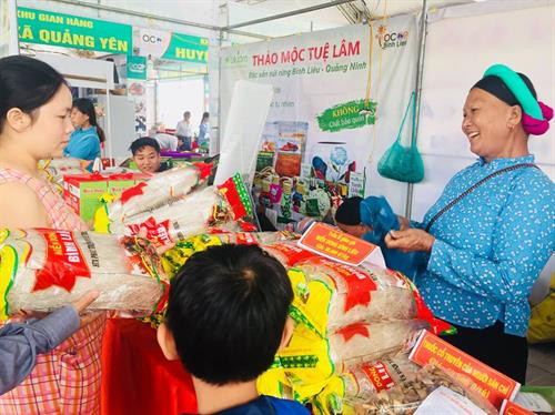 游客参观“一乡一品”展销会展位。图自互联网