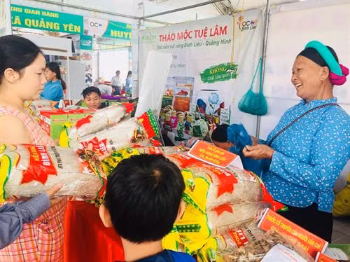 游客参观“一乡一品”展销会展位。图自互联网
