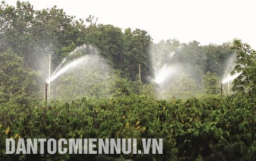 得乐省格昆县农民使用雨水灌溉方法，有助于节水。