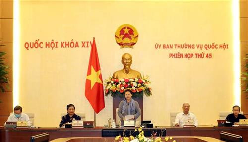 越南国会主席阮氏金银主持召开越南国会常务委员会第45次会议。图自越通社
