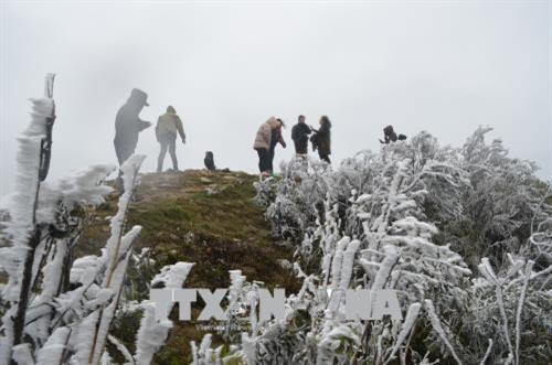 谅山省禄平县母山旅游区温度继续下降，出现冰冻天气 。（图片来源：越通社）