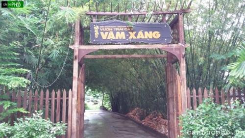 芹苴市丰田县的旺桑果园。图自越南之声广播电台