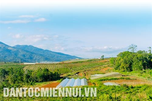 公伯陇县旅游业靠高科技农业的大力投资而蓬勃发展。记者 光泰 摄