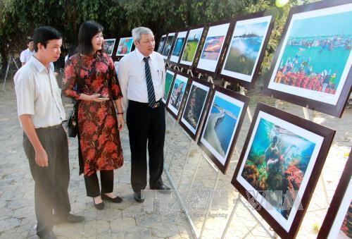 参观者。(图片来源:越通社) 参观者。(图片来源:越通社)