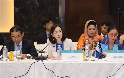 日本代表在会上发表意见。（图片来源：越通社）