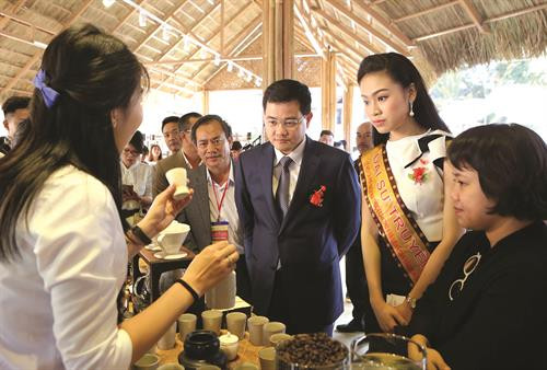 西原地区3月份进入节日盛会季节 ảnh 3