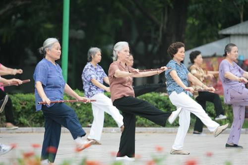 附图。(图片来源:因特网) 附图。(图片来源:因特网)