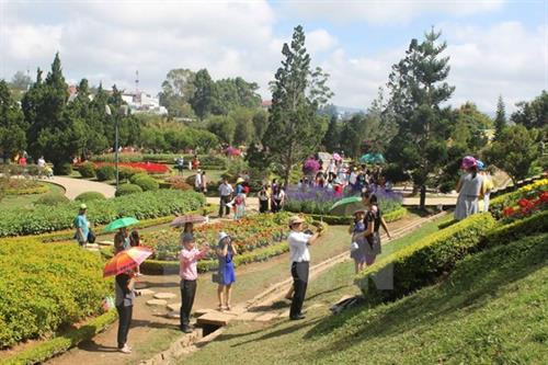 赴大叻市旅游的游客。（图片来源：越通社）