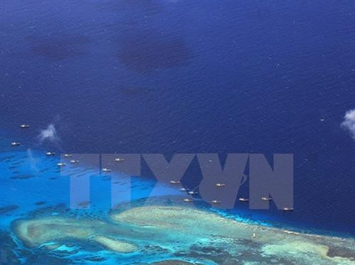 在东海十字礁停泊的中国渔船。(图片来源:法新社/越通社) 在东海十字礁停泊的中国渔船。(图片来源:法新社/越通社)