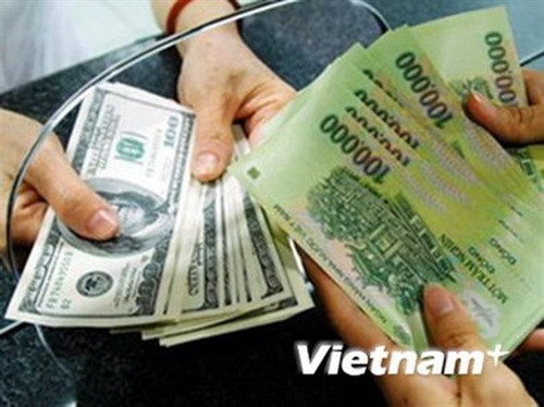附图（图片来源：vietnam+)