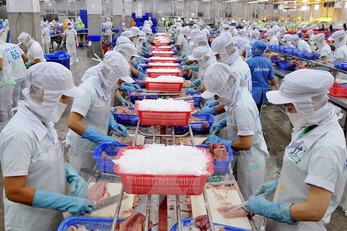 2019年,越南水产品对欧盟出口额预计达15亿美元,低于既定计划20亿美元的目标。图自越通社 2019年,越南水产品对欧盟出口额预计达15亿美元,低于既定计划20亿美元的目标。图自越通社