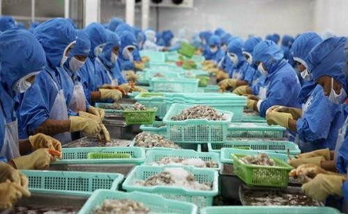 资料图 图自越通社