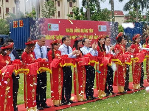 2018年河内兴安龙眼周将在河内升龙Big C 超市举行 ảnh 1