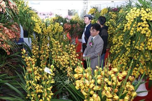 2019己亥年春节展览会的鲜花展位。图自越通社
