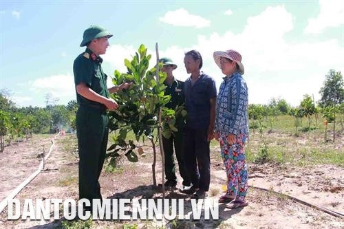 737国防经济团干部引导亚苏县伊亚伟乡少数民族同胞栽培泰国菠萝蜜。记者 范强 摄