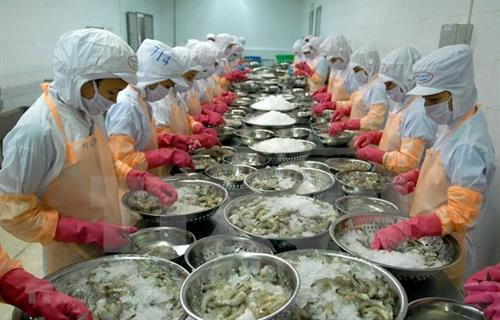 附图。图自越通社