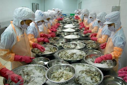 附图。（图片来源：越通社）