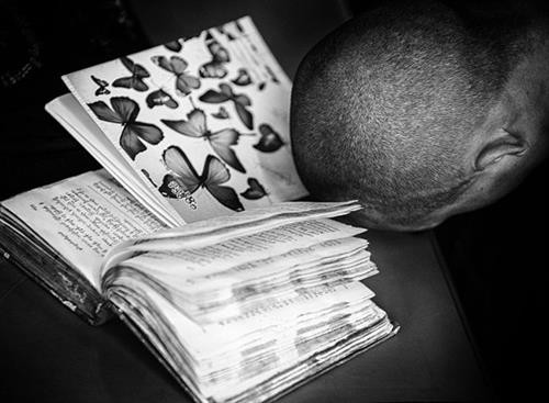 《劳动报》记者的作品。（图片来源：laodong.vn）