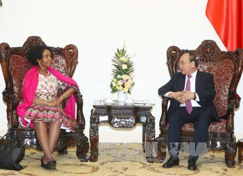 越南政府总理阮春福会见南非国际关系与合作部长 （图片来源：越通社）
