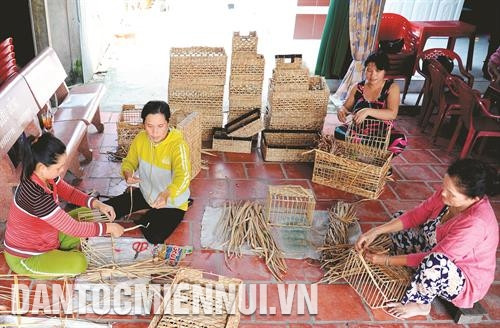红旗县红旗市太和B村凤眼蓝编织合作社为高棉族人会员提供就业机会，带来稳定收入。记者 安孝 摄 红旗县成人教育和职业教育中心干部了解红旗市太和高棉族人学艺需求。记者 安孝 摄 芹苴市就业服务中心引导解决劳动者就业问题。记者 安孝 摄