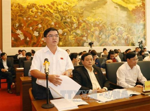 前江省国会代表阮青海发表意见。（图片来源：越通社）