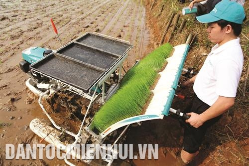 河内继续加快农业生产机械化进程。记者 琼银 摄