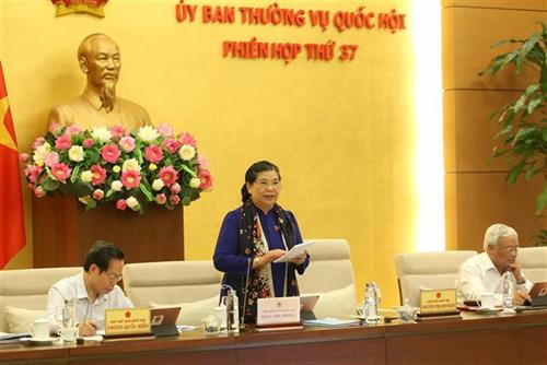 国会常务副主席丛氏放。图自越通社